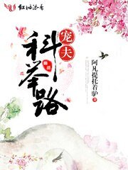 寵夫科舉路