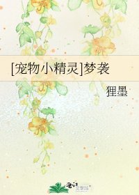 [宠物小精灵]梦袭
